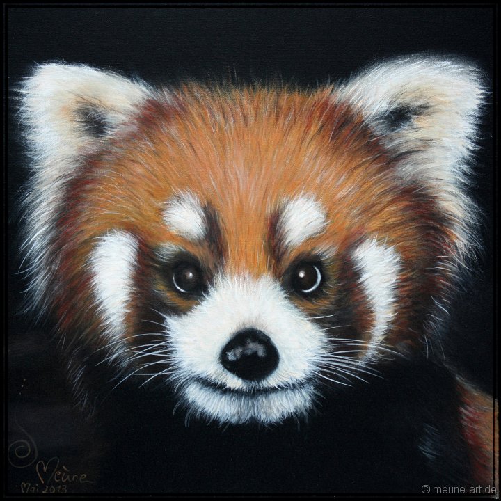 Roter Panda 1 Acryl auf Leinwand;
60 x 60 cm;
verkauft